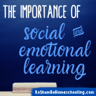 RoShamBo Homeschooling article on the importance of social and emotional learning