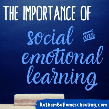RoShamBo Homeschooling article on the importance of social and emotional learning