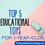 RoShamBo Homeschooling top 5 educational toys for 1 year olds