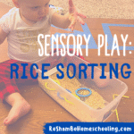 RoShamBo Homeschooling sensory play activity rice sorting bins