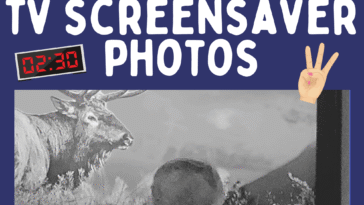 RoShamBo Homeschooling counting and telling time with tv screensaver photos