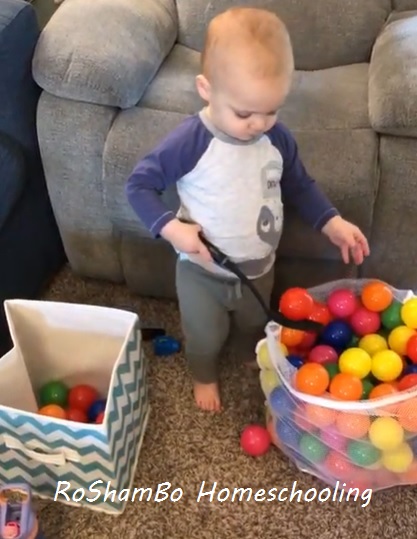RoShamBo Homeschooling gross and fine motor activity scooping small balls from one bin into another