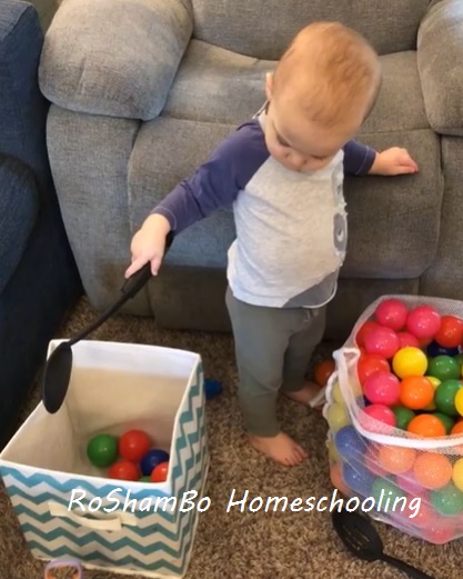 RoShamBo Homeschooling gross and fine motor activity scooping small balls from one bin into another
