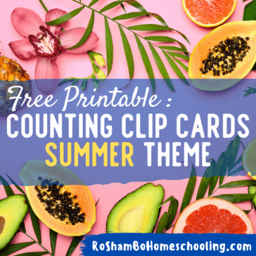 RoShamBo Homeschooling free printable counting clip cards with a summer theme