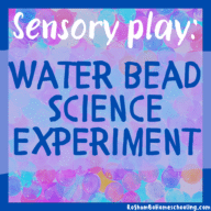 RoShamBo Homeschooling sensory play science experiment with water beads