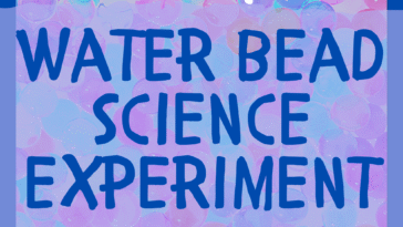 RoShamBo Homeschooling sensory play science experiment with water beads