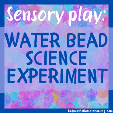 RoShamBo Homeschooling sensory play science experiment with water beads
