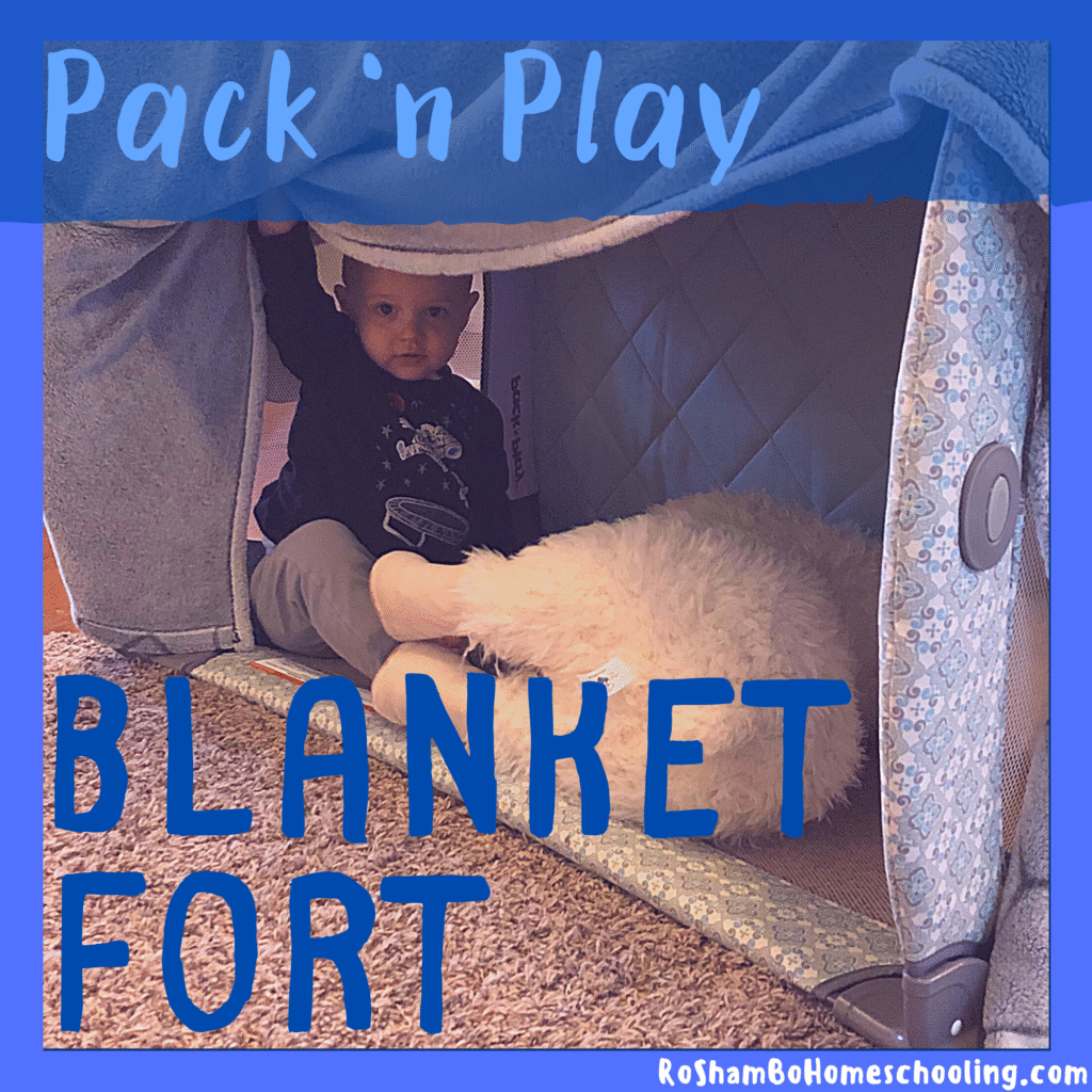 Creative Ways to Use Reuse that Pack 'n Play with Your Older Kids: Part ...
