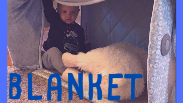 RoShamBo Homeschooling creative ways to reuse your pack 'n play blanket fort