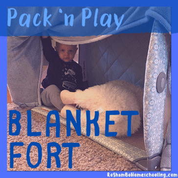 RoShamBo Homeschooling creative ways to reuse your pack 'n play blanket fort