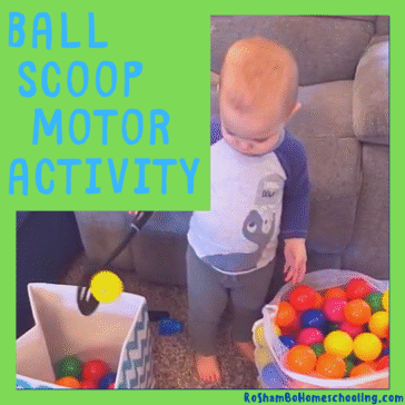 RoShamBo Homeschooling ball scoop motor activity for toddlers and preschool