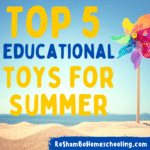 RoShamBo Homeschooling top 5 educational toys for summer