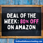 RoShamBo Homeschooling Amazon deal of the week 80% off homeschool supplies