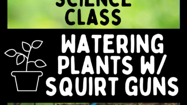 RoShamBo Homeschooling activity where a toddler is using a squirt wand to water a bush