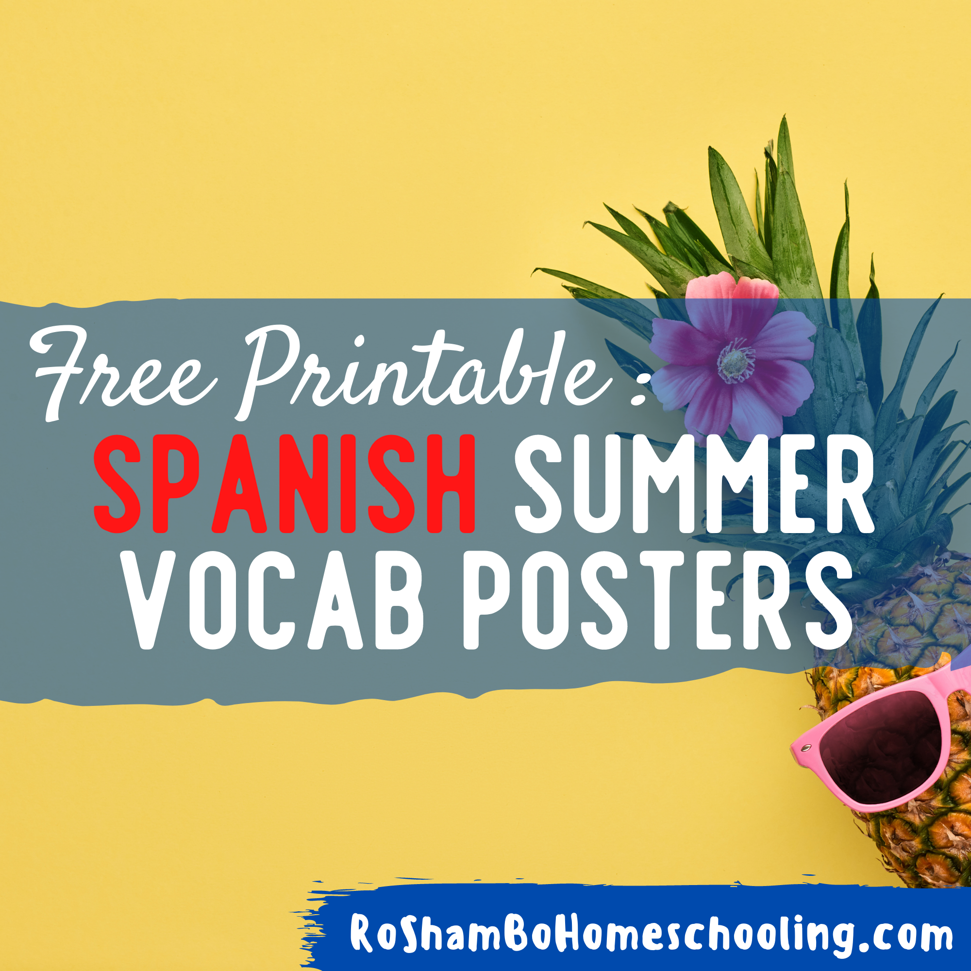 RoShamBo Homeschooling free printables posters with summer theme vocabulary in Spanish