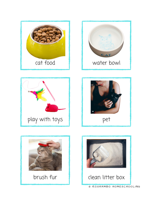 RoShamBo Homeschooling printable pet care match up game