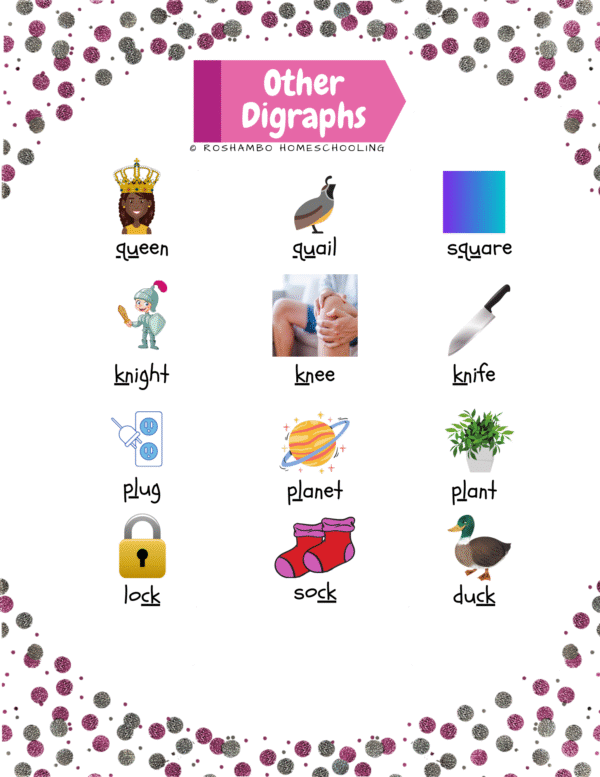 RoShamBo Homeschooling other digraphs poster