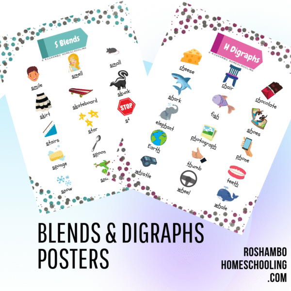 RoShamBo Homeschooling blends and digraphs poster set promo