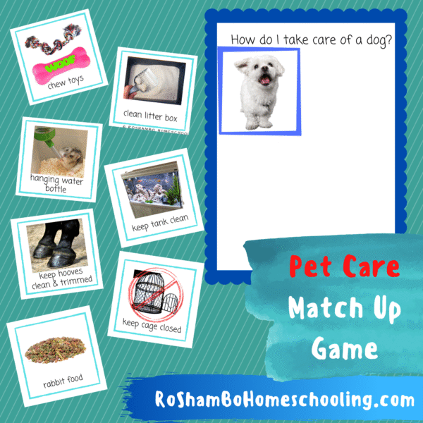RoShamBo Homeschooling printable pet care match up game