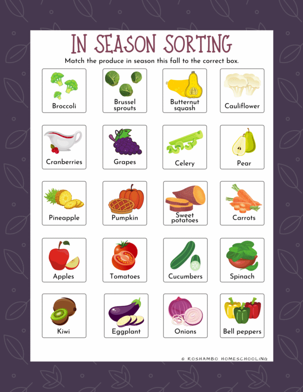 RoShamBo Homeschooling all about fall food theme pack sample