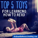 RoShamBo Homeschooling top educational toys for learning preschoolers and kindergarners how to read