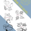 RoShamBo Homeschooling all about spring food theme pack poster