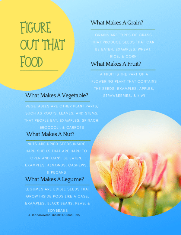 All About Spring Food Theme Pack - Image 7