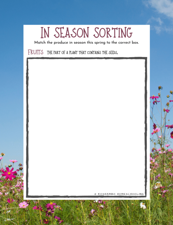 All About Spring Food Theme Pack - Image 4