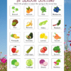 RoShamBo Homeschooling all about spring food theme pack in season sorting game