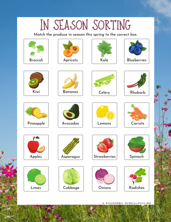 RoShamBo Homeschooling all about spring food theme pack in season sorting game